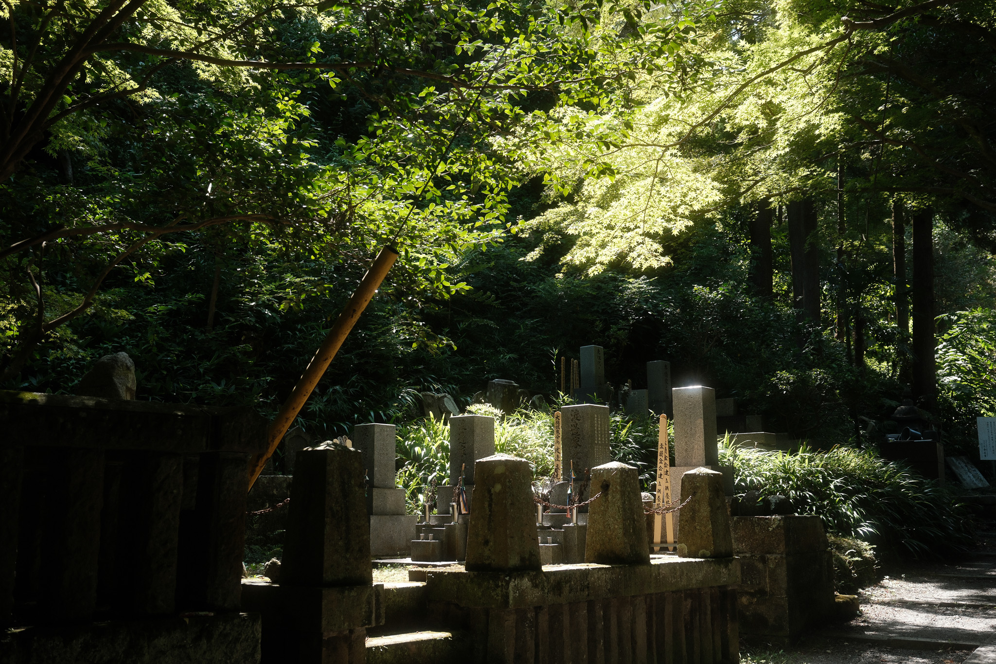 Shibuya Summer - A wildly humid time